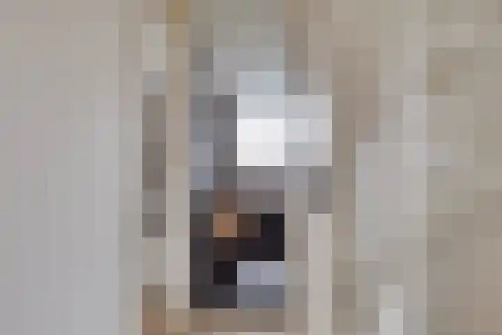 Maisakker 15 Arnemuiden thumbnail 20