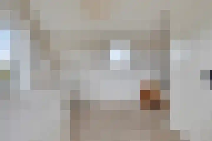 Maisakker 15 Arnemuiden thumbnail 29
