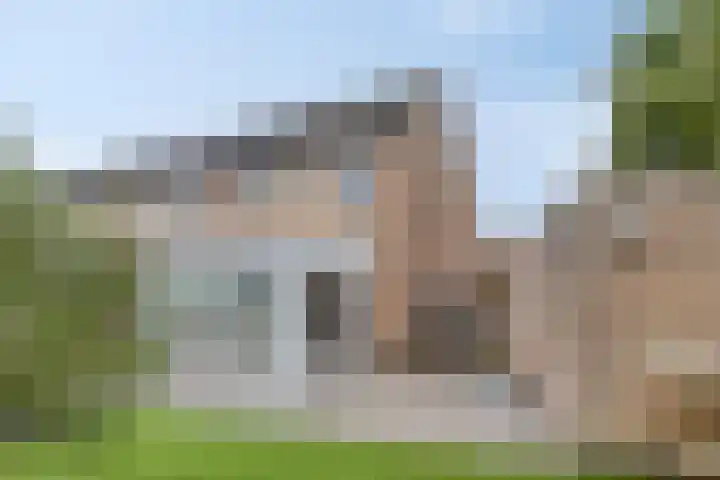 Maisakker 15 Arnemuiden thumbnail 31