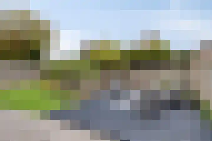 Maisakker 15 Arnemuiden thumbnail 34
