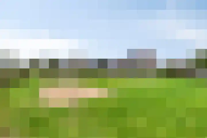 Maisakker 15 Arnemuiden thumbnail 37