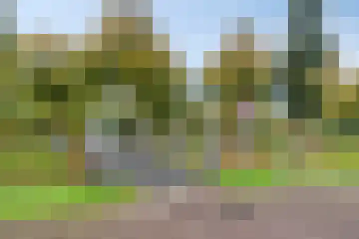 Maisakker 15 Arnemuiden thumbnail 38