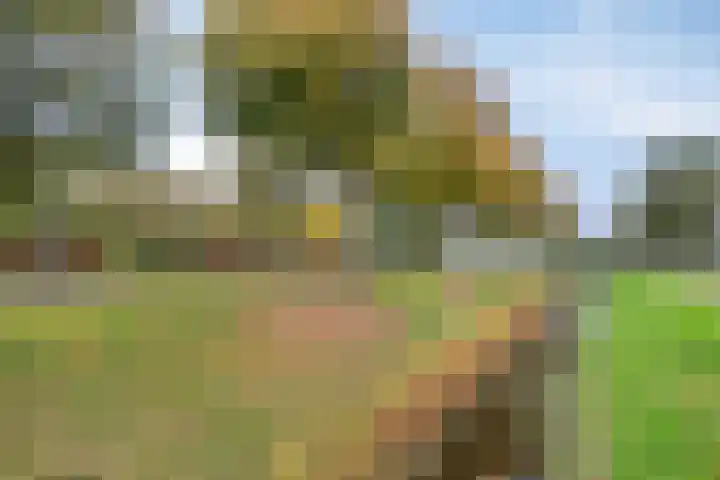 Maisakker 15 Arnemuiden thumbnail 39