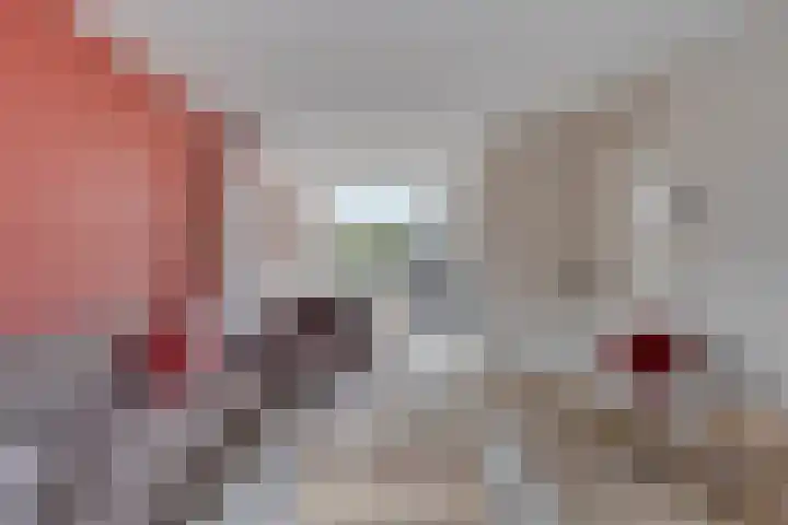 Maisakker 15 Arnemuiden thumbnail 6