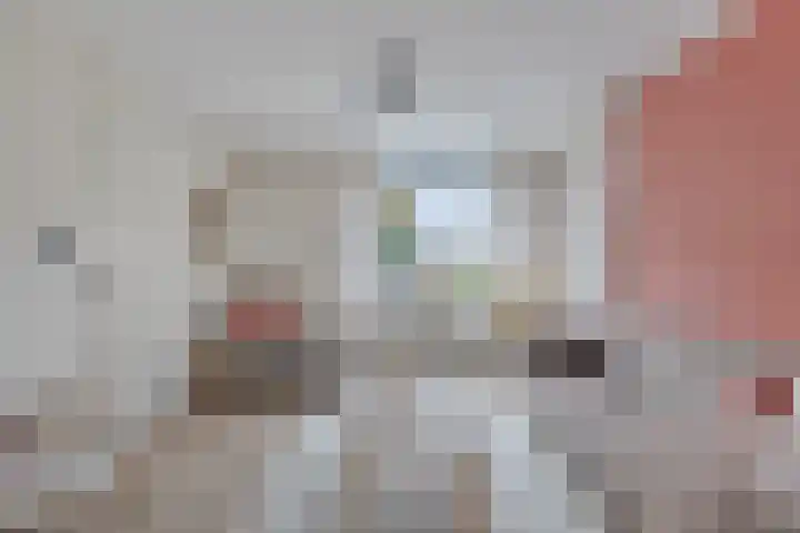 Maisakker 15 Arnemuiden thumbnail 7