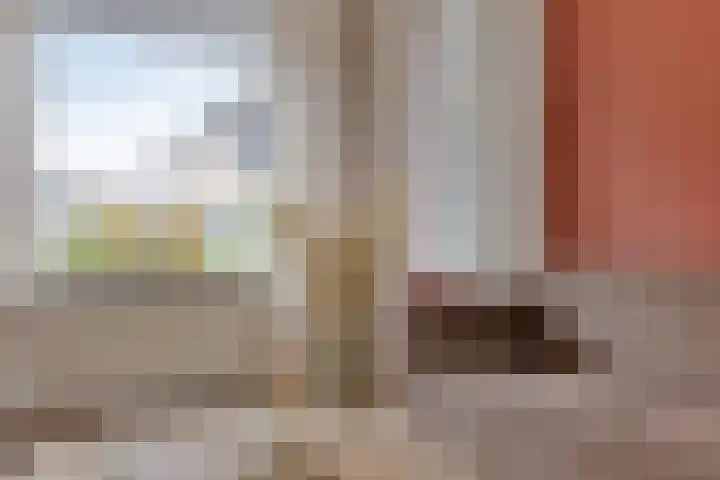 Maisakker 15 Arnemuiden thumbnail 9