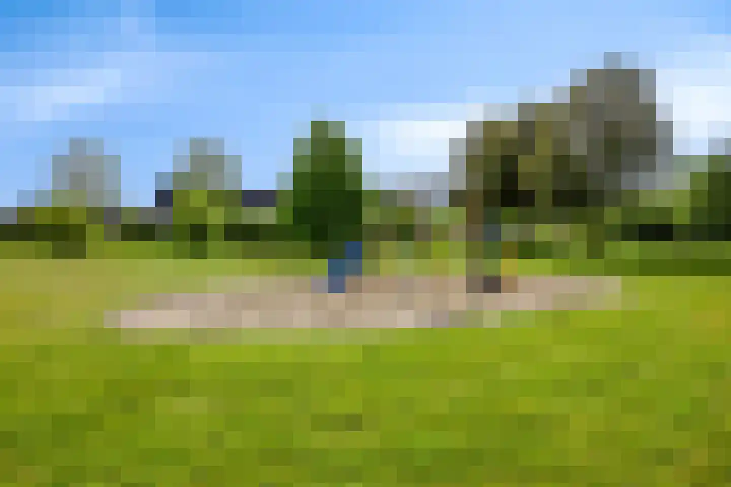 Maisakker 16 Heino thumbnail 64