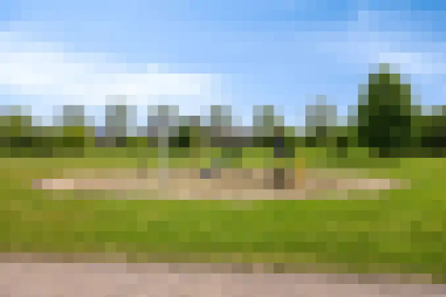 Maisakker 16 Heino thumbnail 65
