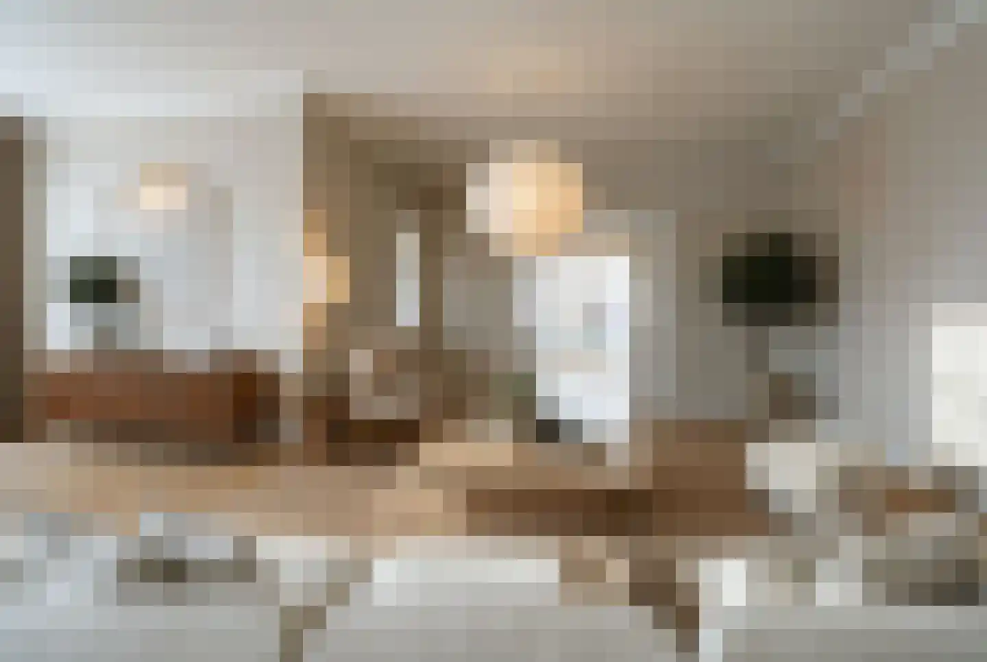 Maisakker 2 Arnemuiden thumbnail 14