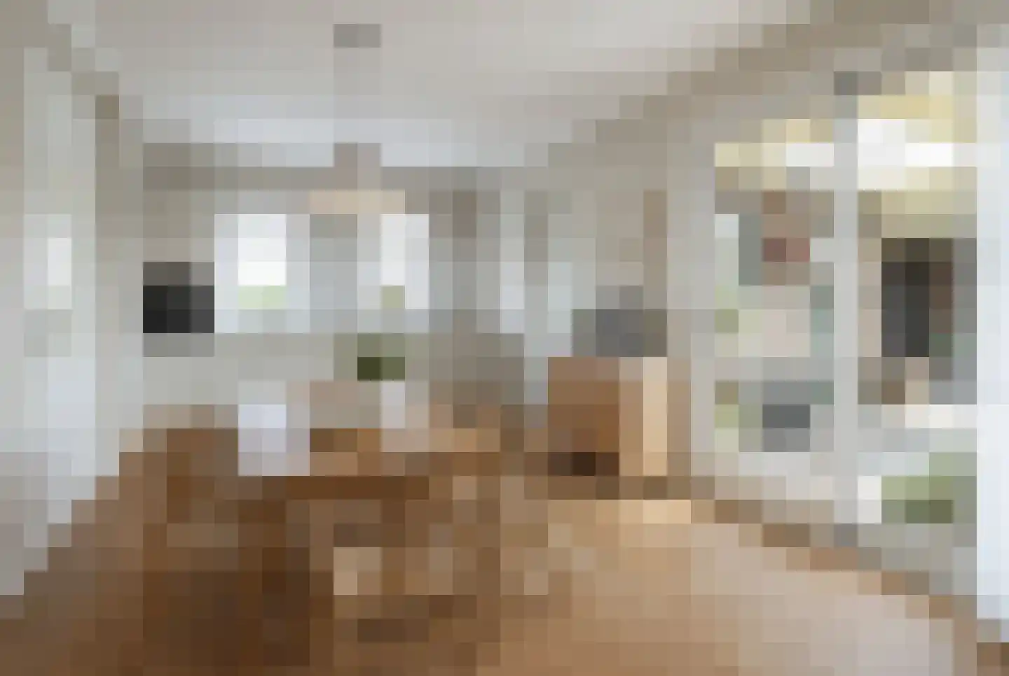 Maisakker 2 Arnemuiden thumbnail 18
