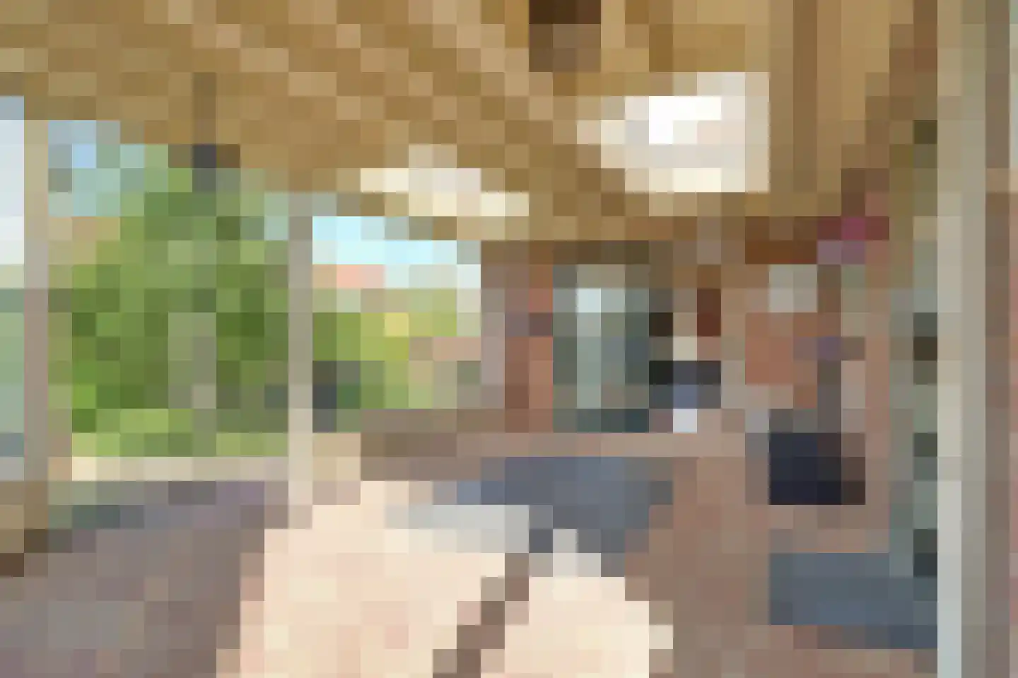 Maisakker 2 Arnemuiden thumbnail 24