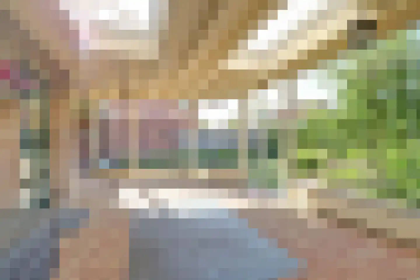 Maisakker 2 Arnemuiden thumbnail 25