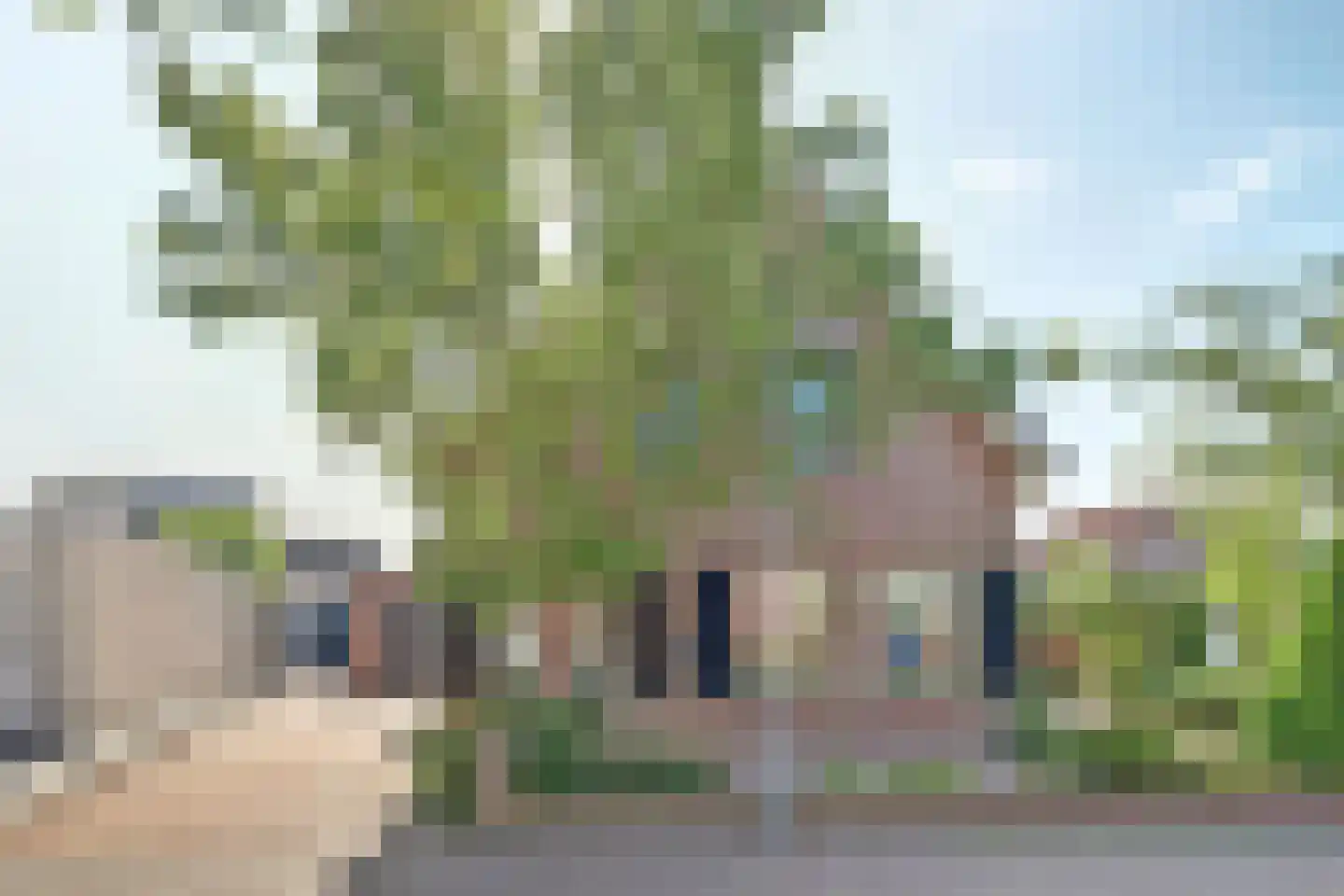 Maisakker 2 Arnemuiden thumbnail 4