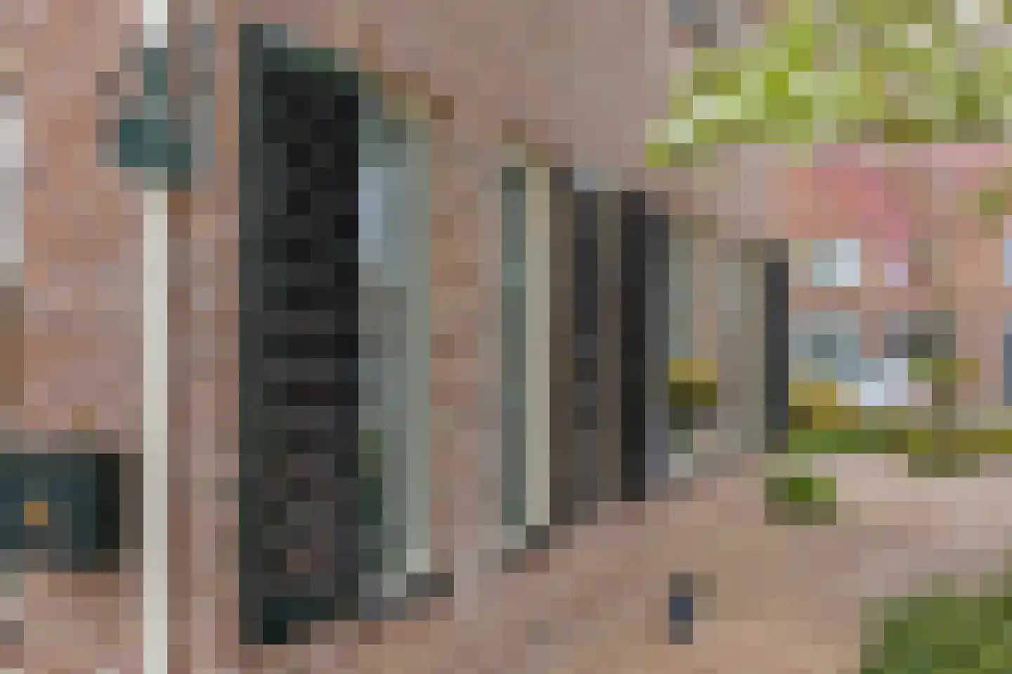 Maisakker 2 Arnemuiden thumbnail 42