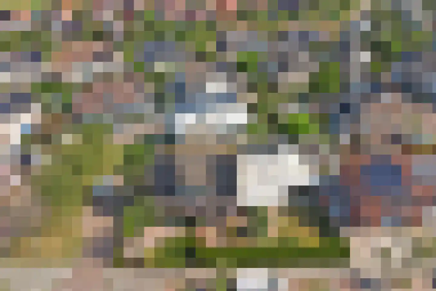 Maisakker 2 Arnemuiden thumbnail 47