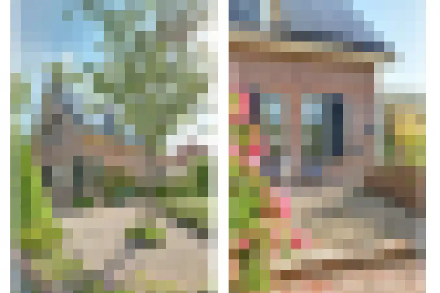 Maisakker 2 Arnemuiden thumbnail 5