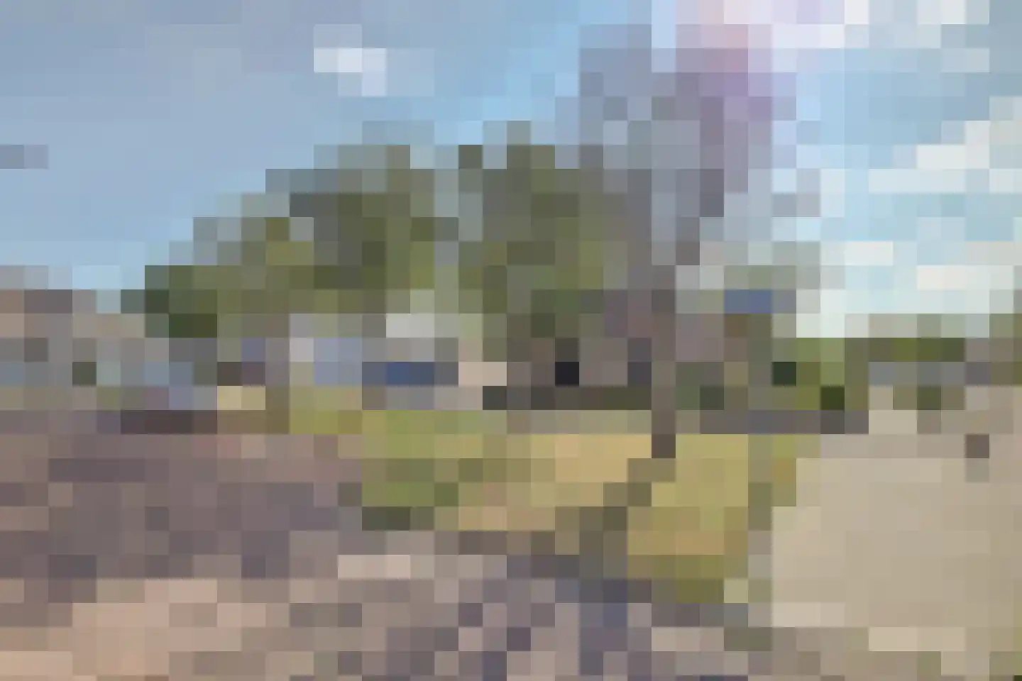 Maisakker 2 Arnemuiden thumbnail 54