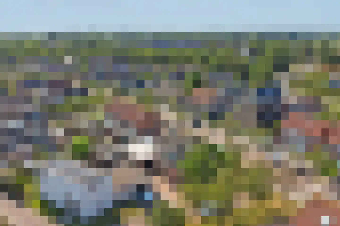 Maisakker 2 Arnemuiden thumbnail 57