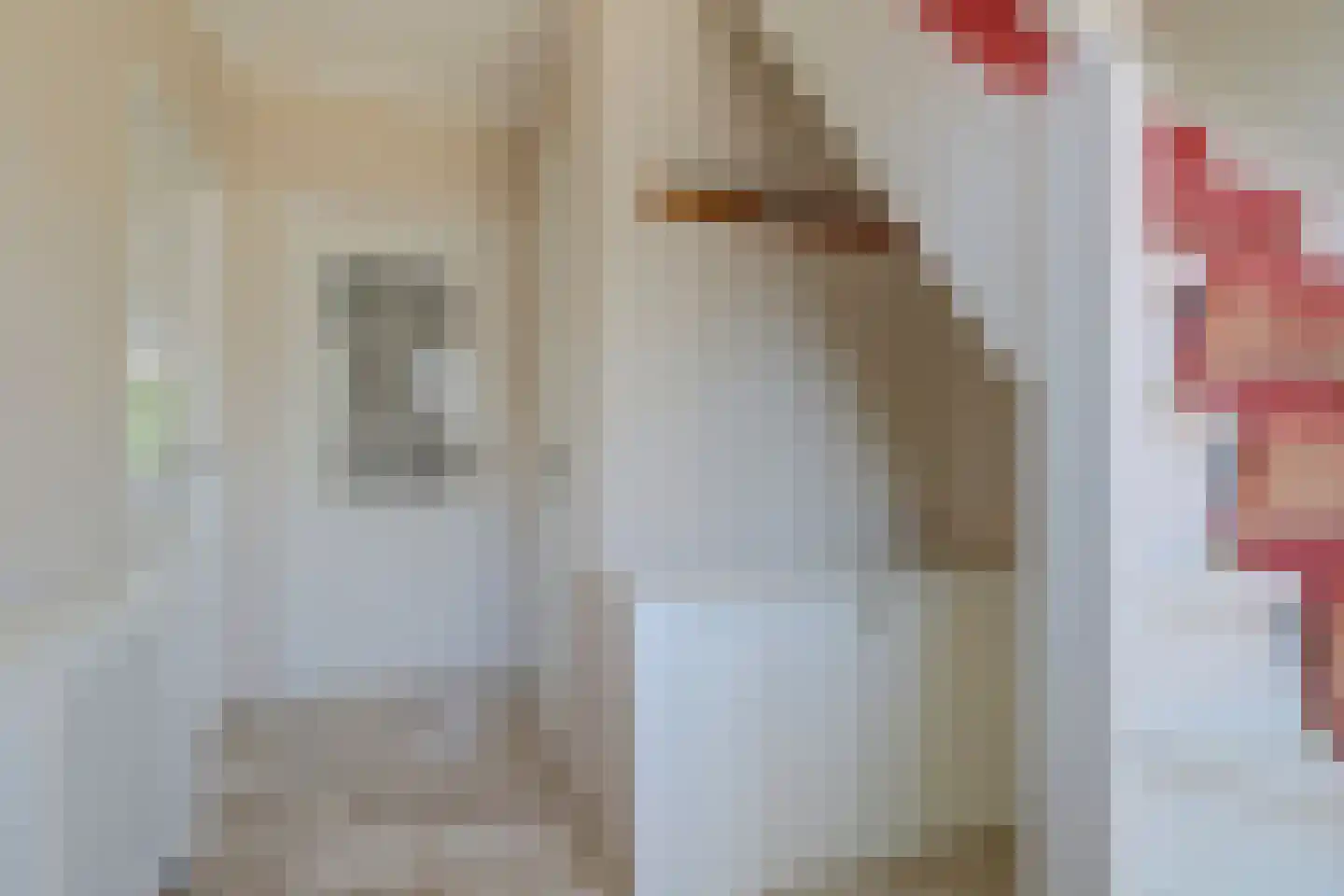 Maisakker 2 Arnemuiden thumbnail 9