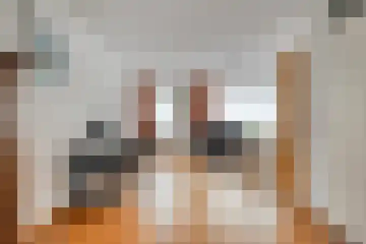 Maisakker 7 Arnemuiden thumbnail 10