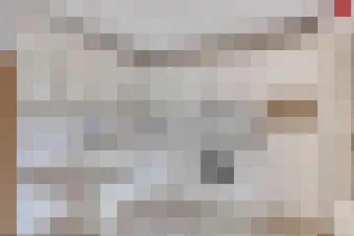 Maisakker 7 Arnemuiden thumbnail 16
