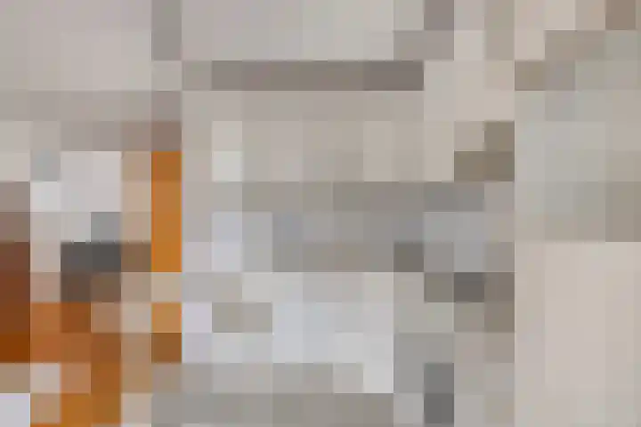 Maisakker 7 Arnemuiden thumbnail 17