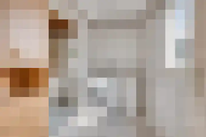 Maisakker 7 Arnemuiden thumbnail 18