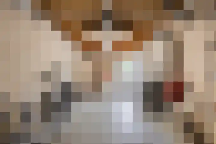 Maisakker 7 Arnemuiden thumbnail 20