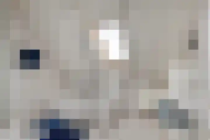 Maisakker 7 Arnemuiden thumbnail 22