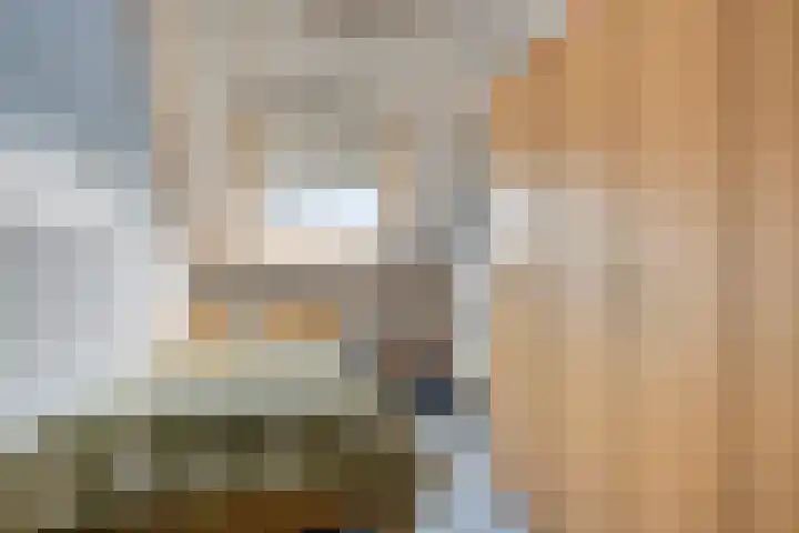 Maisakker 7 Arnemuiden thumbnail 26