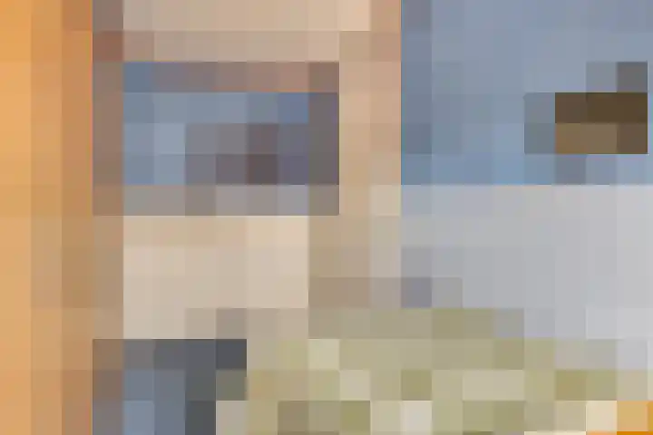 Maisakker 7 Arnemuiden thumbnail 27