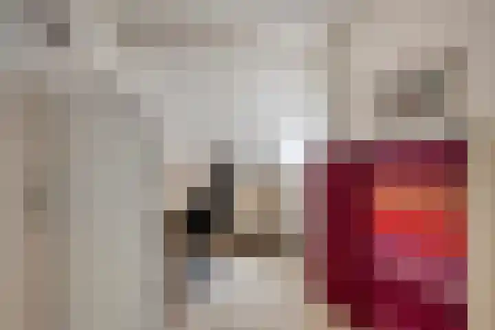 Maisakker 7 Arnemuiden thumbnail 28