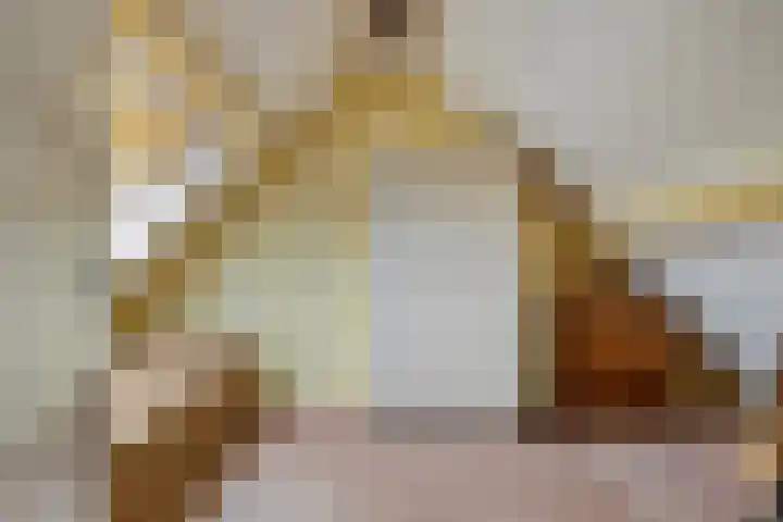 Maisakker 7 Arnemuiden thumbnail 32