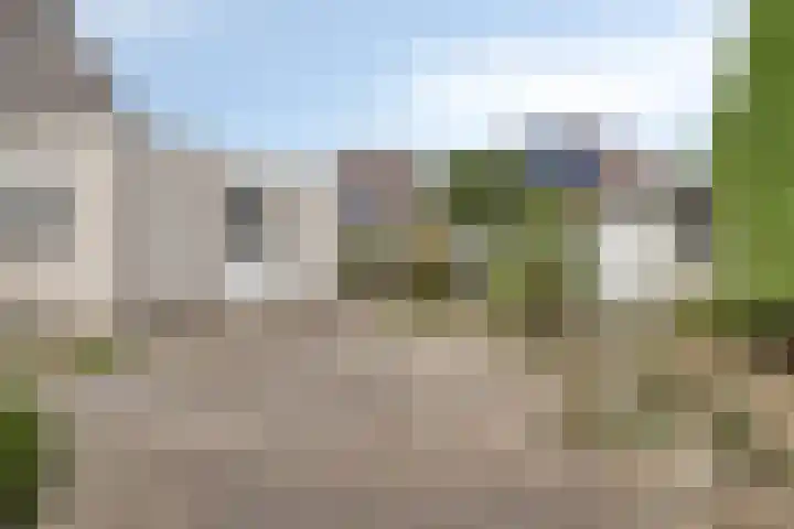 Maisakker 7 Arnemuiden thumbnail 35