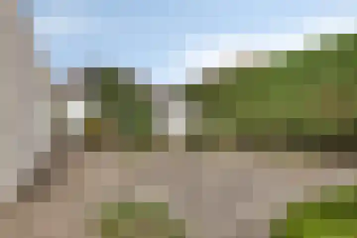 Maisakker 7 Arnemuiden thumbnail 36