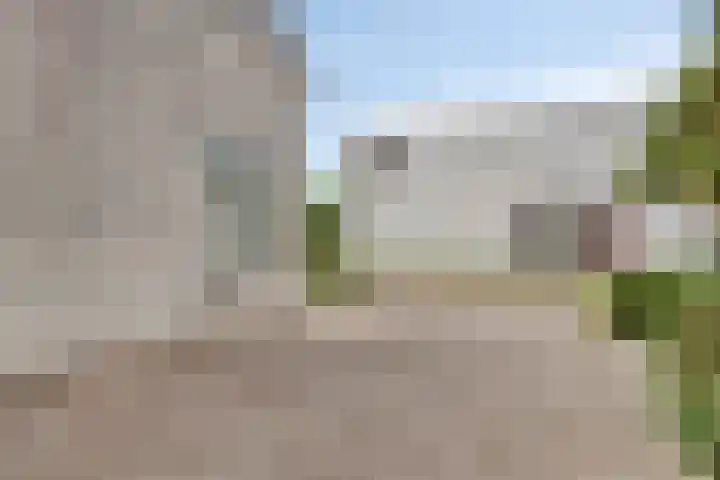 Maisakker 7 Arnemuiden thumbnail 39
