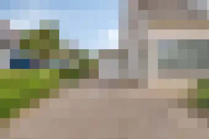 Maisakker 7 Arnemuiden thumbnail 4