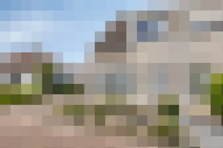Maisakker 7 Arnemuiden thumbnail 40