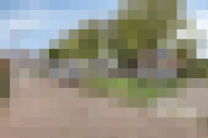 Maisakker 7 Arnemuiden thumbnail 41