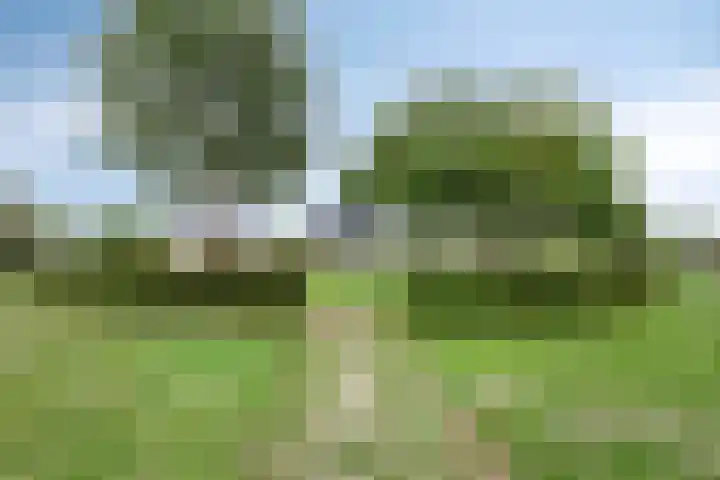 Maisakker 7 Arnemuiden thumbnail 42