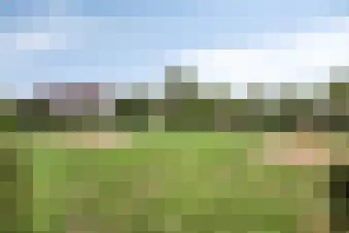 Maisakker 7 Arnemuiden thumbnail 43
