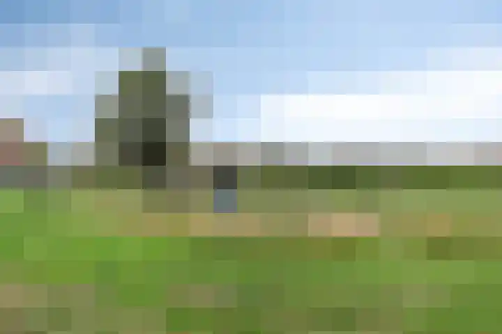 Maisakker 7 Arnemuiden thumbnail 44