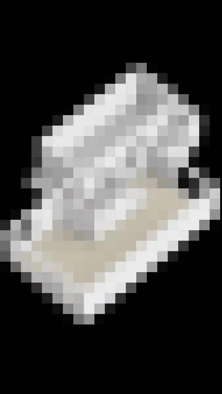 Maisakker 7 Arnemuiden thumbnail 46