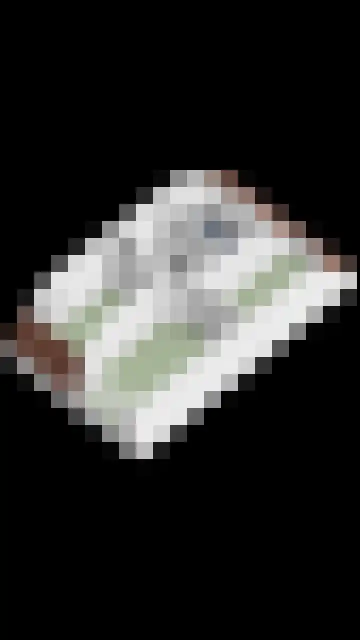 Maisakker 7 Arnemuiden thumbnail 48