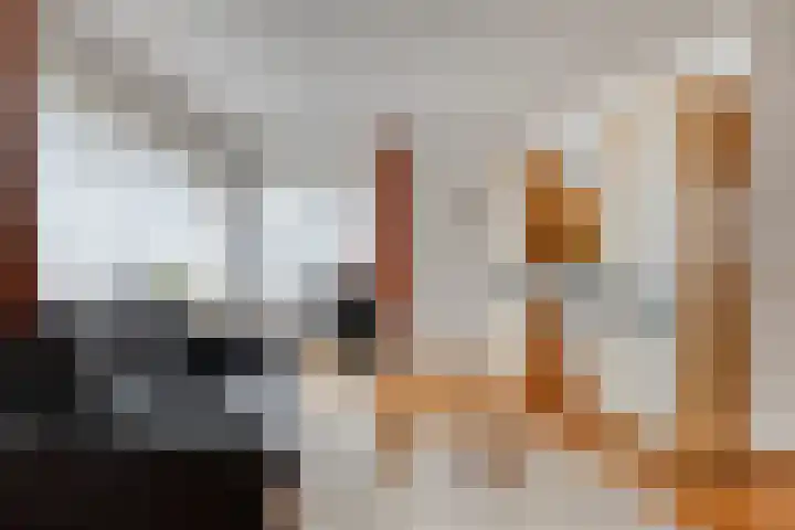 Maisakker 7 Arnemuiden thumbnail 8