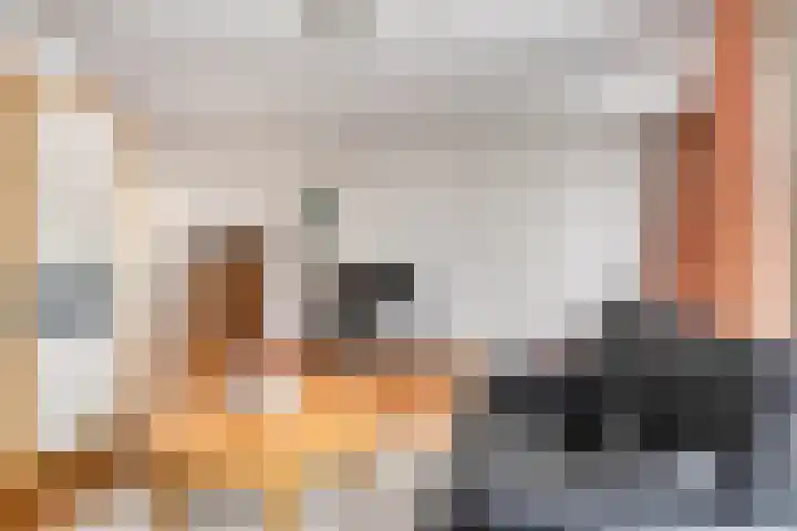 Maisakker 7 Arnemuiden thumbnail 9