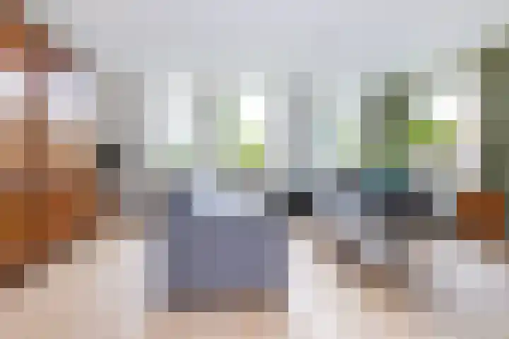 Maisakker 8 Wezep thumbnail 10