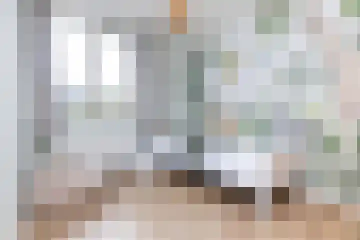 Maisakker 8 Wezep thumbnail 24