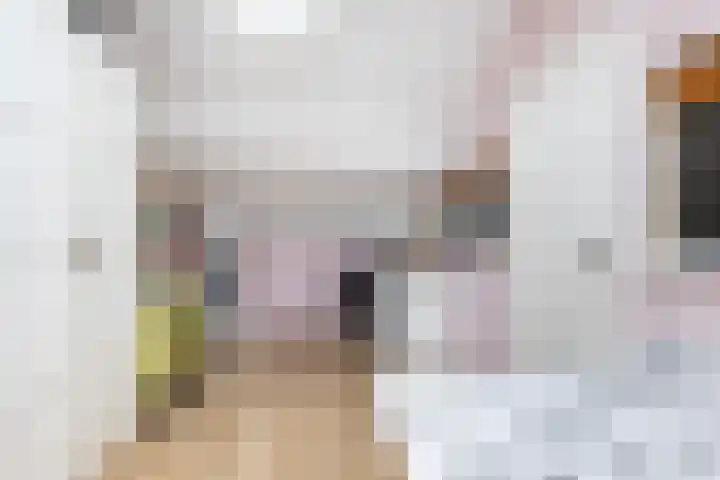 Maisakker 8 Wezep thumbnail 29