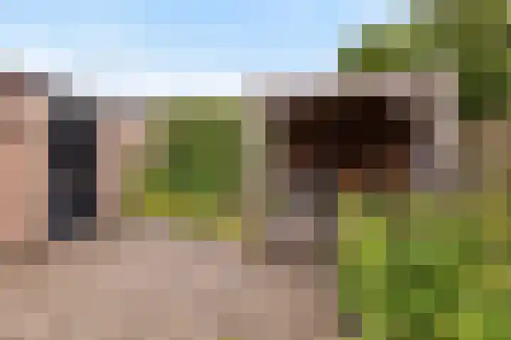 Maisakker 8 Wezep thumbnail 34